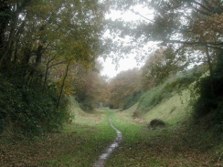 Follow Knapton's Butterfly Way
