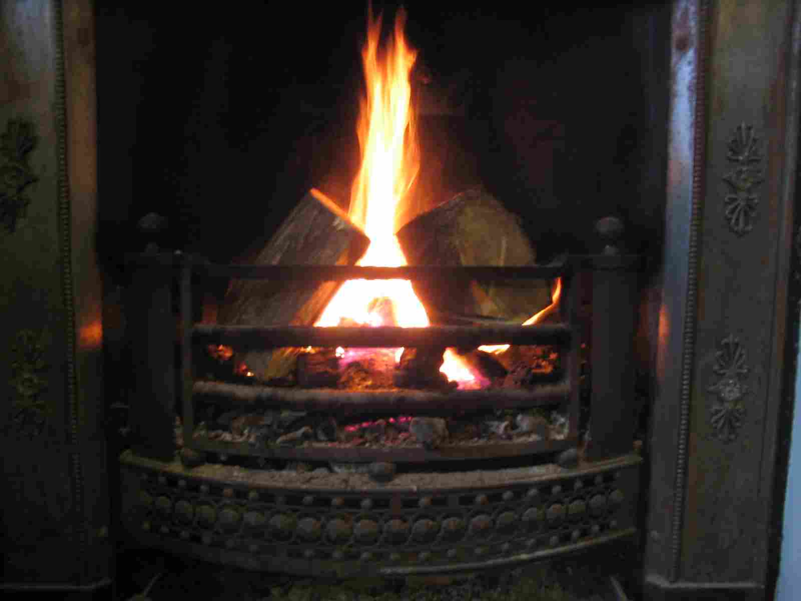 Log Fire