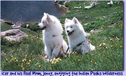 icer and his Real Mom, jenny, enjoying the Indian Peaks Wilderness
