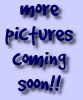 more pictures coming soon!