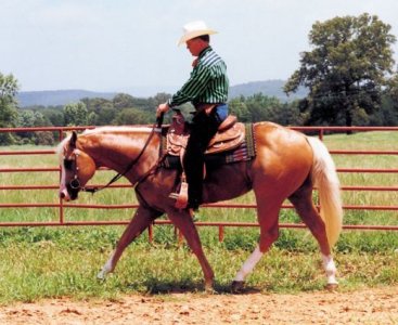 Photo © Standridge Circle S Ranch