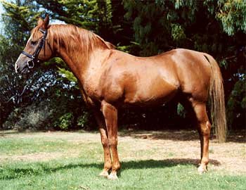 Photo © Astek Stud