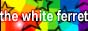 The White Ferret