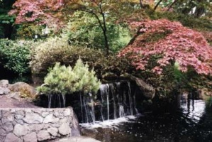 Health and Healing: Copyright Milson Macleod