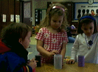image9.gif (22265 bytes)