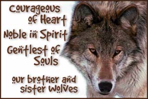 Brotherhood & Sisterhood