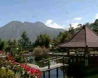 Agro wisata Tambi