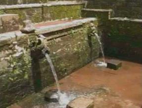 Tuk Bimalukar