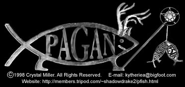 Click here to go get your own Pagan Fish!
