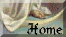 Back to Homepage