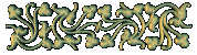 /user/coolbar13.gif