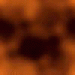/user/copperd.gif