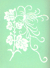 /user/green2.gif