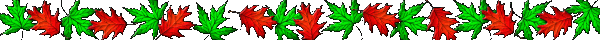 /user/leafbar.gif