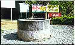 hotspring