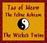 Tao of Meow graphic for your web page!