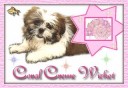 Coral Creme Wicket