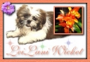 LeiLani Wicket