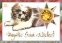 Mystic Sun Wicket