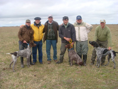 Several Dogs and Handlers