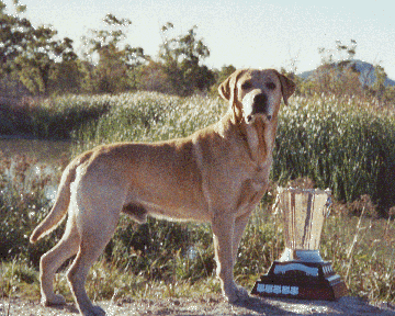 2002