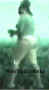 s77.jpg (10825 bytes)