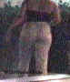 s81.jpg (22507 bytes)