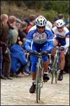 Peter van Petegem