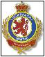 wing insignia