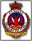 23rd Sqn insignia