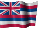 Flag of USA