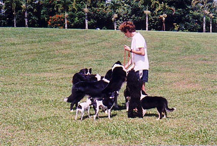Mieke and dogs