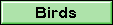 Parrots, Conures, Cockatoos, Eclectus, Lovebirds, Cockatiels, etc., 