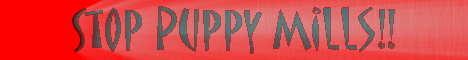 stop_pmbanner_anim.gif (137831 bytes)