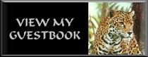 View my Guestbook