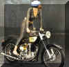bikegirl3.jpg (73518 bytes)