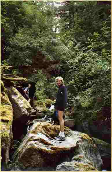 Moosiger Wasserfall (Mossy Waterfall)