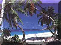 Anse Kerlan, Praslin