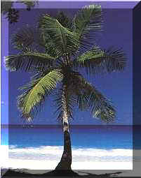 Cote d'Or, Praslin