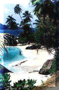 Secluded beach on La Digue