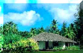 Image of Maison Des Palmes Cottage