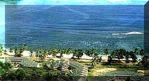 Image of The Plantation Club