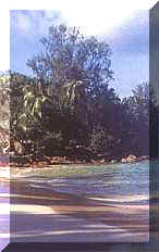 Anse Soleil on Mahe