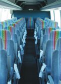 6 Day Namaqualand Wild Flower Coach Tour