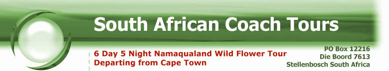 South AfricanGuided Coach Tours