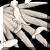 wildwing-button.gif (2418 bytes)