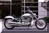 Harley V Rod in casual mood
