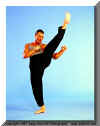 a classy front kick