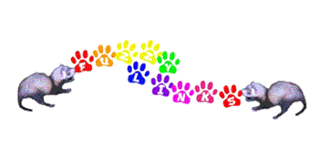 Fuzzy Links