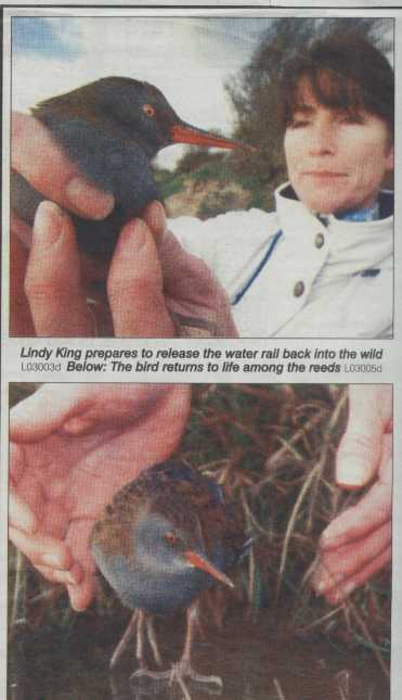 Click Here to go to WRAS in the News 2003
